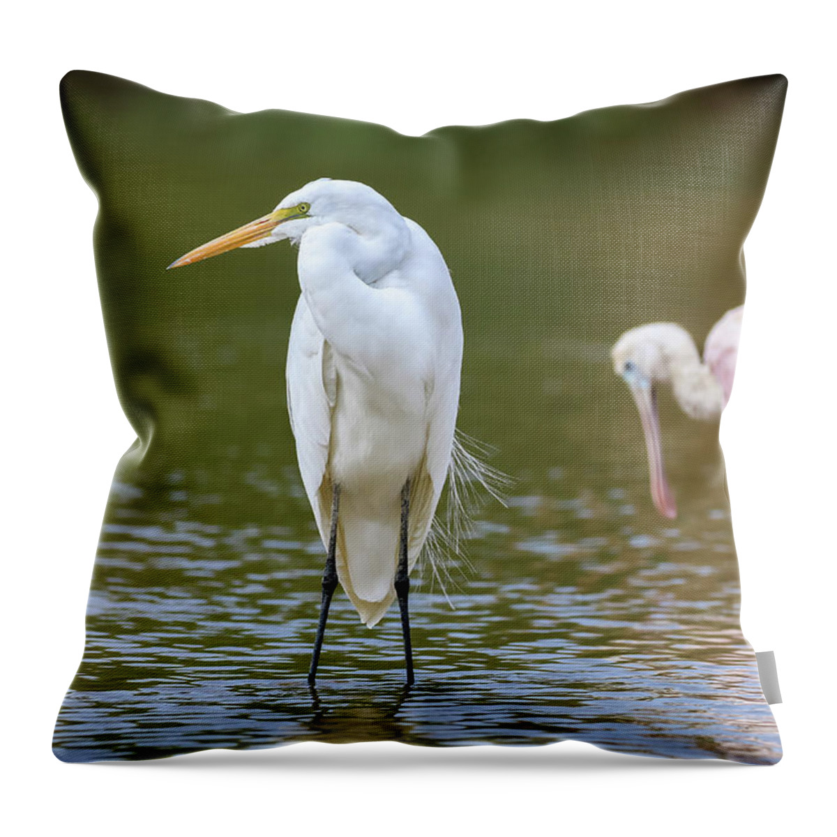 2020 Throw Pillow featuring the photograph Great Egret and Roseate Spoonbill by Dawn Richards