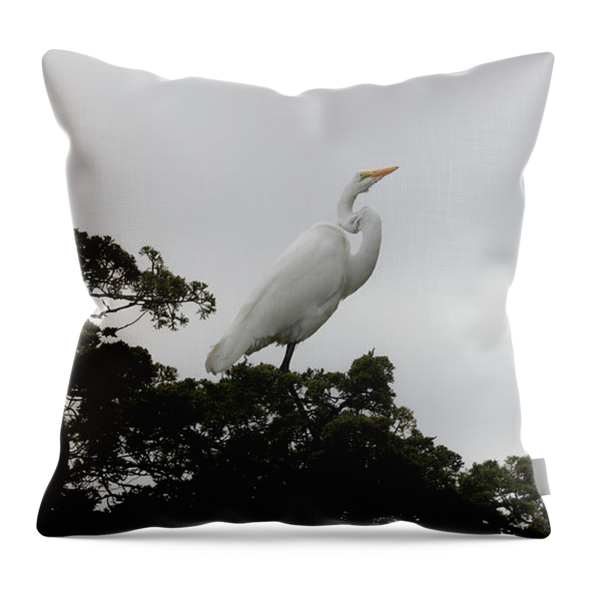 Great Egret Throw Pillow featuring the photograph Great Egret Balanced by Doolittle Photography and Art