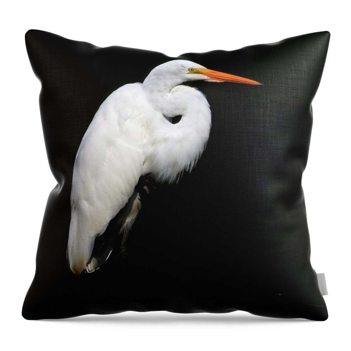 Great Egret Throw Pillow featuring the photograph Great Egret by Shixing Wen