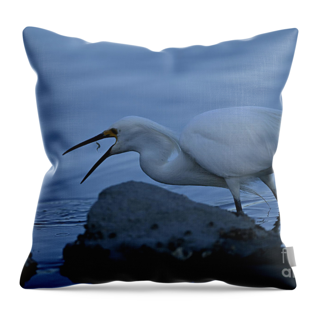 Great Egret Throw Pillow featuring the photograph Great Egret Swallowing Fish by Amazing Action Photo Video