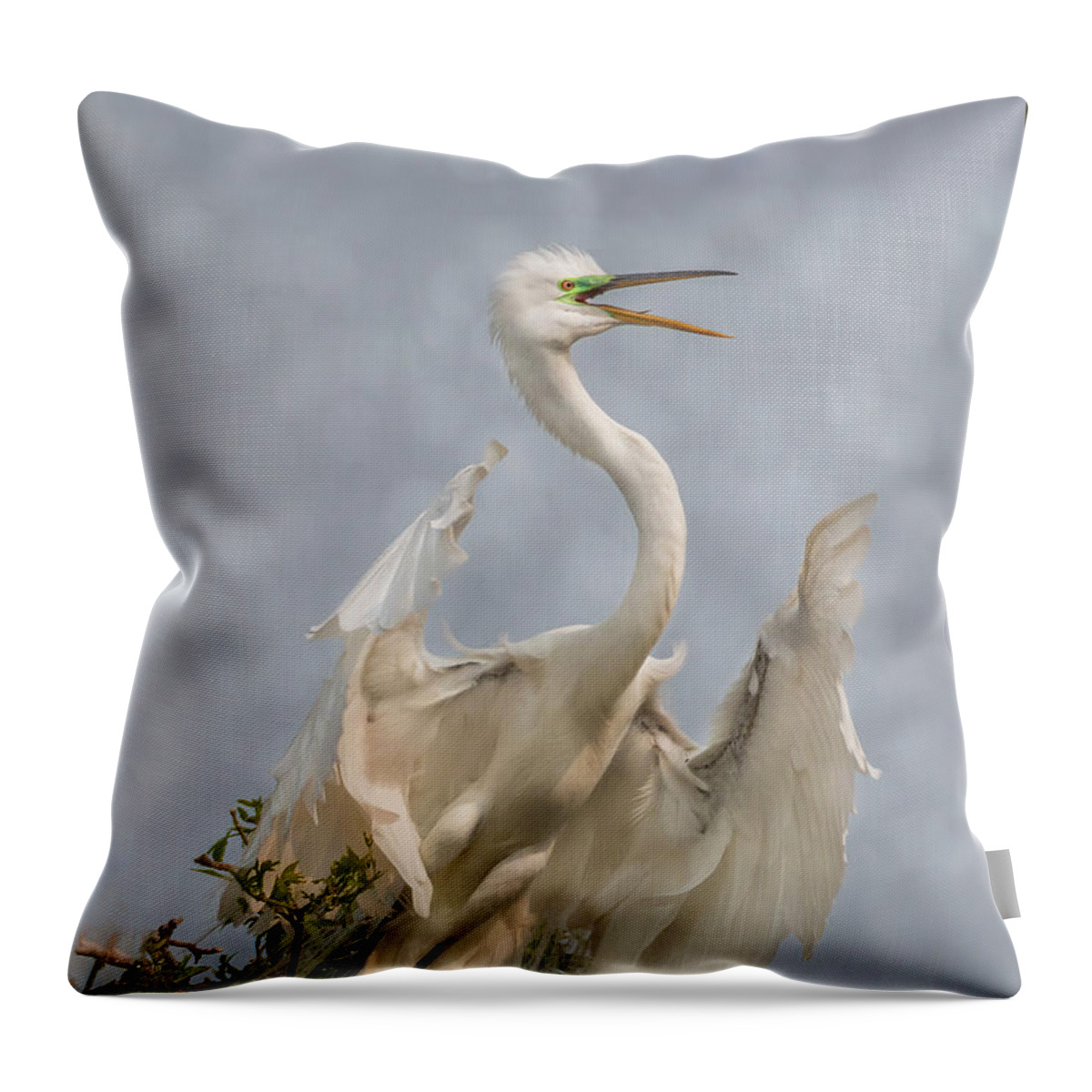 Bird Throw Pillow featuring the photograph Great Egret Take-Off by Patti Deters
