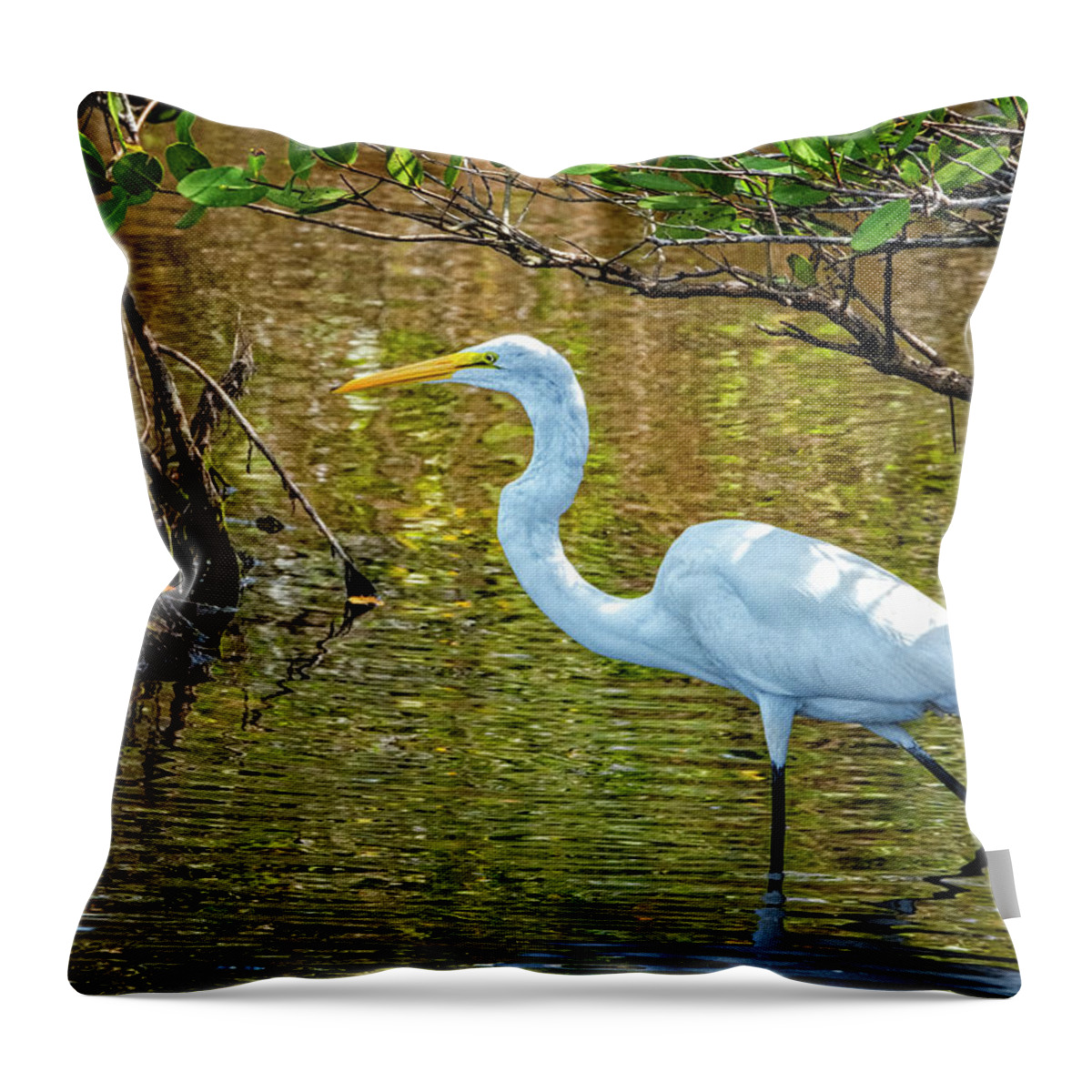 Yard Animals Throw Pillow featuring the photograph Great Egret by Tom Singleton
