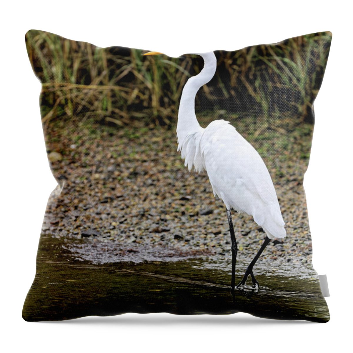 White Egret Throw Pillow featuring the photograph White Egret out for a stroll by Doolittle Photography and Art
