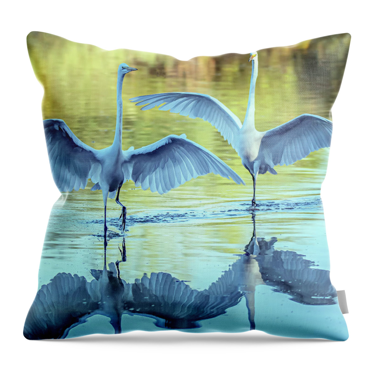 Great Egret Throw Pillow featuring the photograph Great Egrets 3492-100620-2 by Tam Ryan