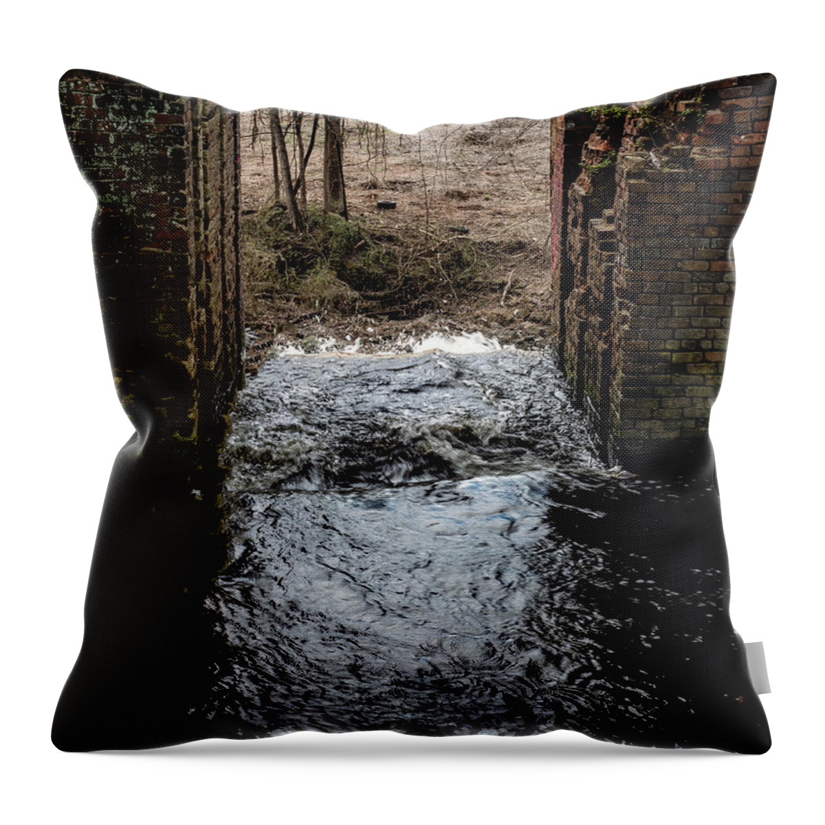 Great Falls Throw Pillow featuring the photograph Great Falls - Rockingham - 03 by Flees Photos