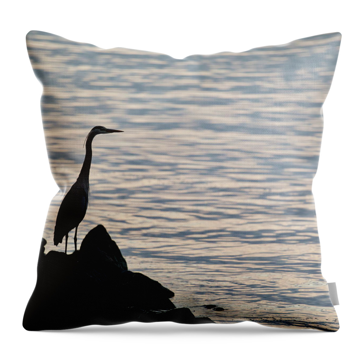 Great Blue Heron Throw Pillow featuring the photograph Great Heron at Dusk by Rachel Morrison