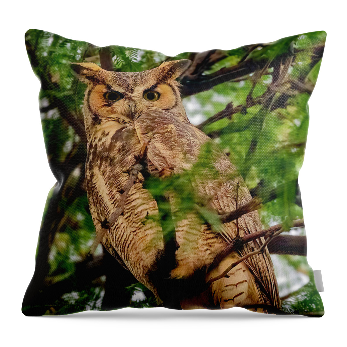 Mark Myhaver Photography Throw Pillow featuring the photograph Great Horned Owl 24536 by Mark Myhaver