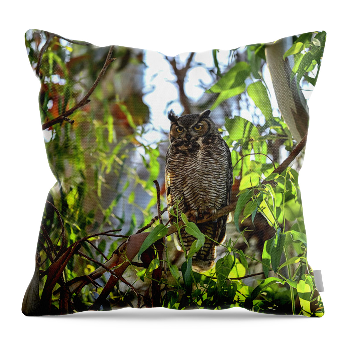 Great-horned Owl Throw Pillow featuring the photograph Great-horned Owl - Bubo virginianus by Amazing Action Photo Video