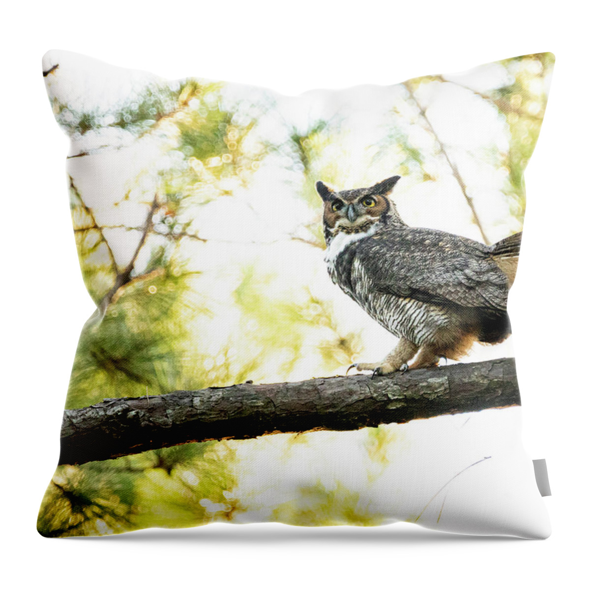 Owl Throw Pillow featuring the photograph Great Horned Owl in the Croatan National Forest by Bob Decker