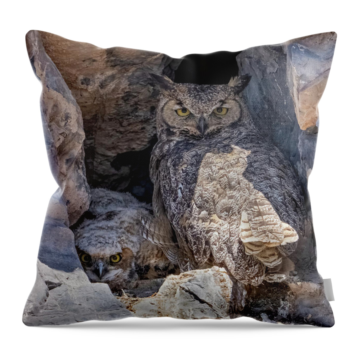 Owl Throw Pillow featuring the photograph Great Horned Owl Nest by Wesley Aston