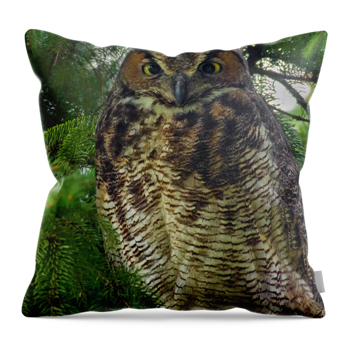 Owl Throw Pillow featuring the photograph Great Horned Owl by Timothy McIntyre