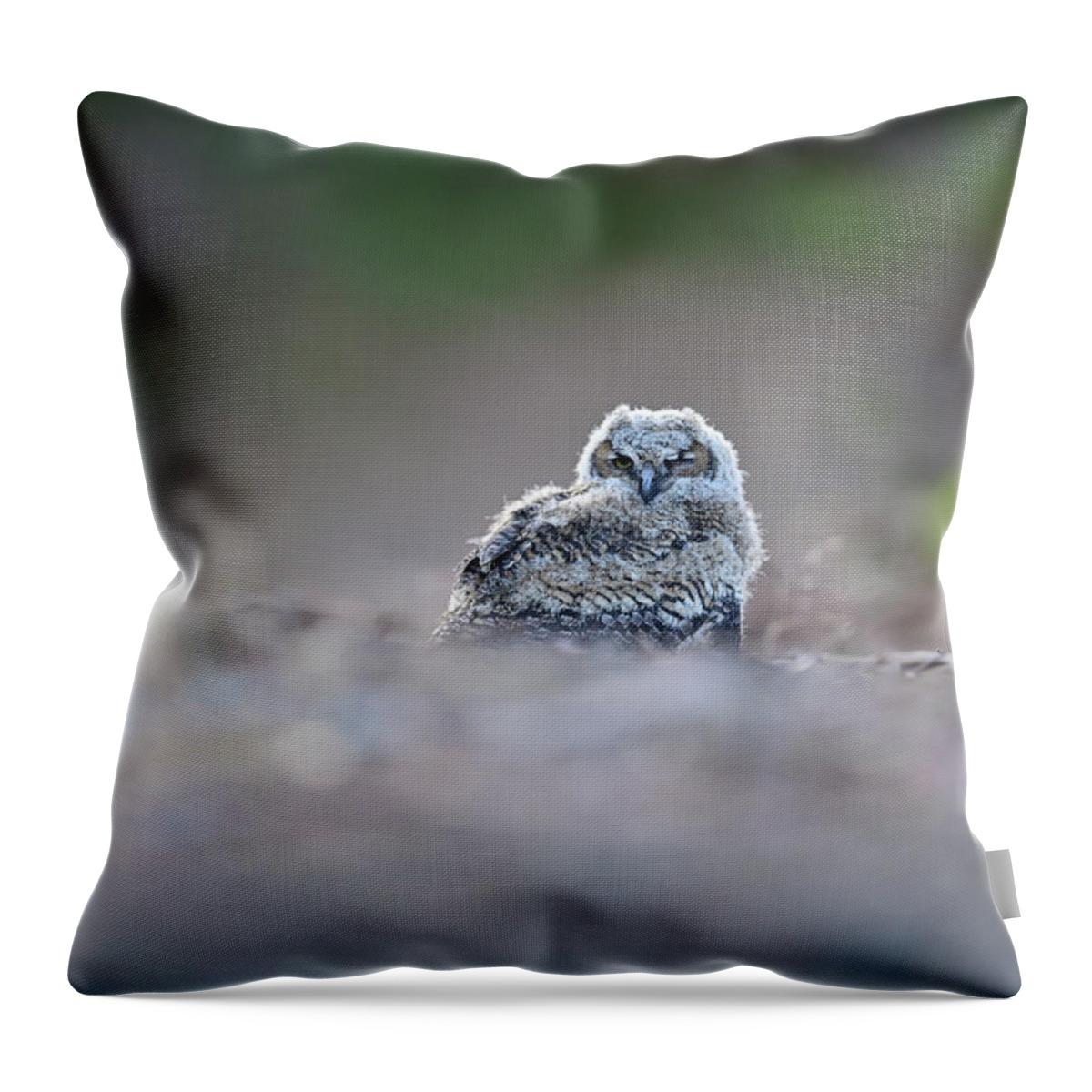 Owl Throw Pillow featuring the photograph Great-horned owlet,- Bubo Virginianus by Amazing Action Photo Video