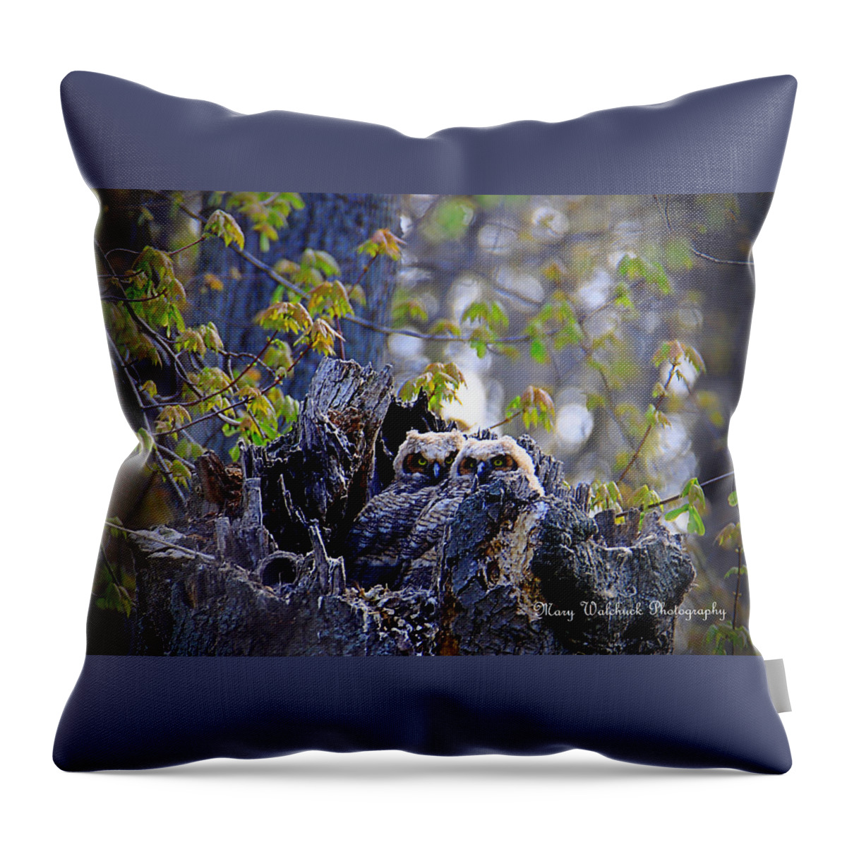 Owls Throw Pillow featuring the photograph Great Horned Owlets by Mary Walchuck