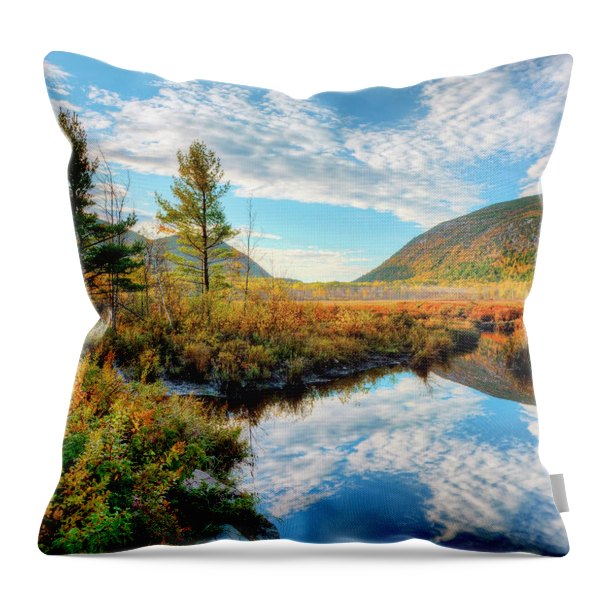 Acadia National Park Throw Pillow featuring the photograph Great Meadows 6636 by Greg Hartford