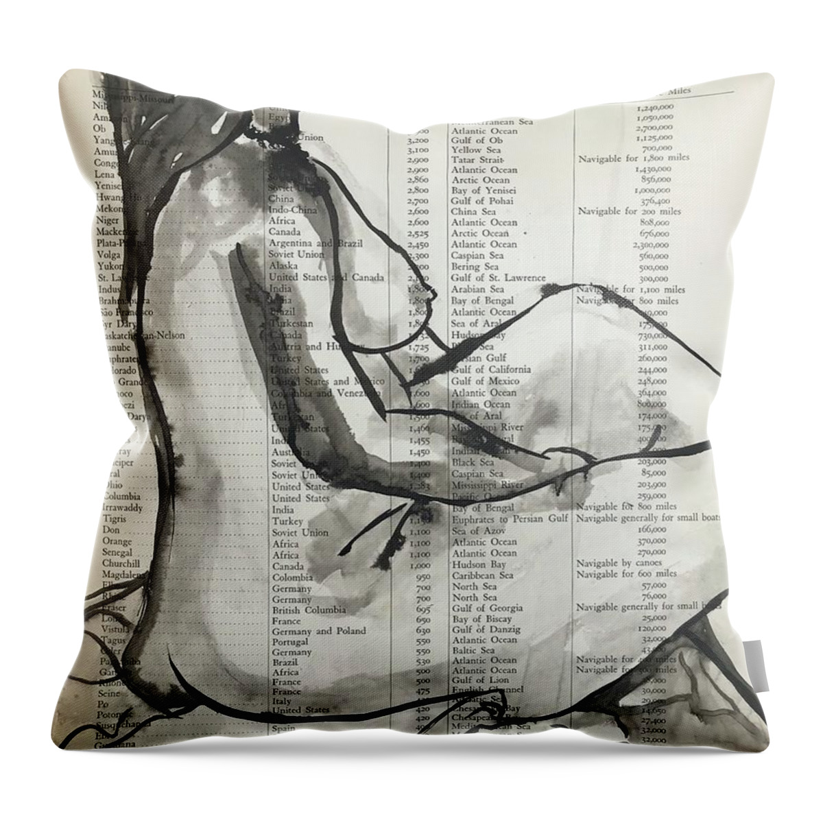 Sumi Ink Throw Pillow featuring the drawing Great Rivers of the World by M Bellavia