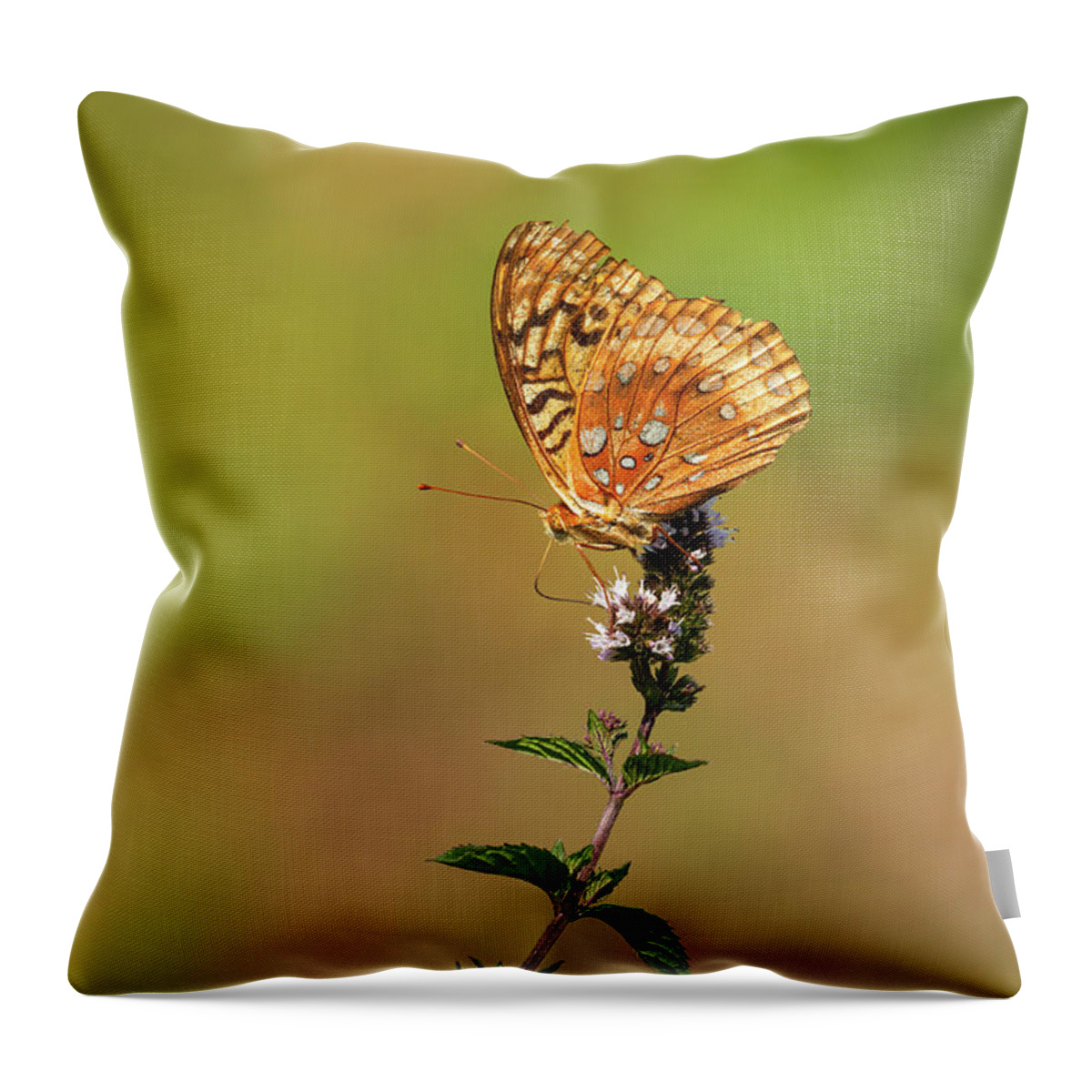 Great Spangled Fritillary Throw Pillow featuring the photograph Great Spangled Fritillary 2013-1 by Thomas Young