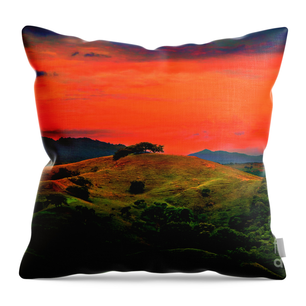 2155 Throw Pillow featuring the photograph Great Sunset Near La Marina by Al Bourassa