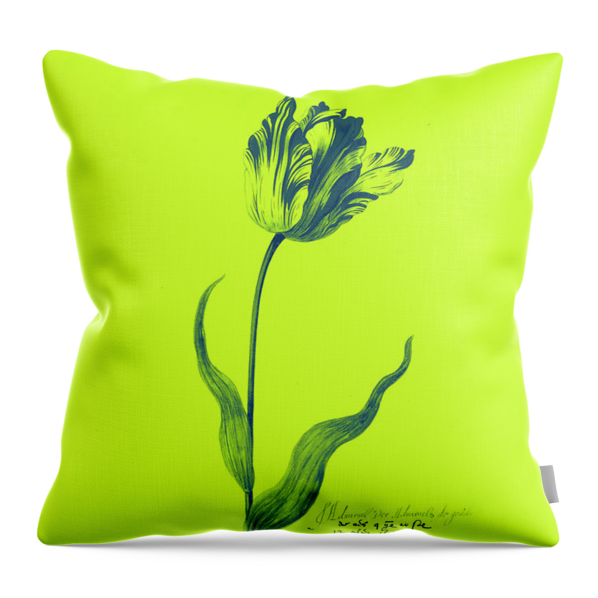 Poster Throw Pillow featuring the painting Great Tulip Book , Admirael De Gouda Poster by MotionAge Designs
