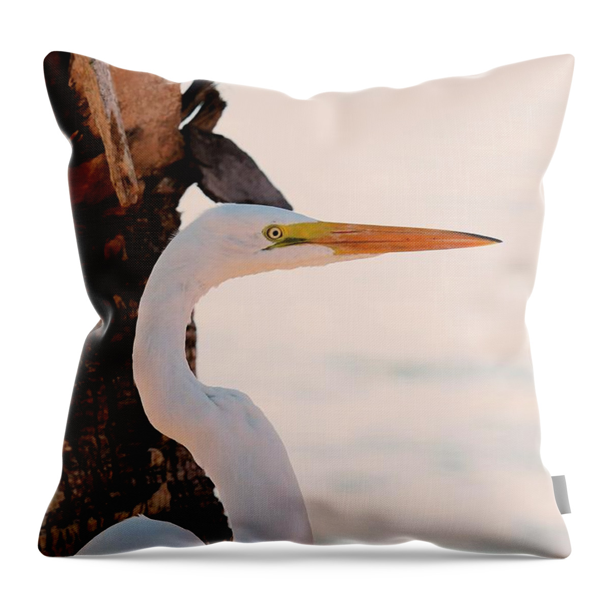 Great White Egret Throw Pillow featuring the photograph Great White Egret Standing by a Cabbage Palm Tree by Joanne Carey