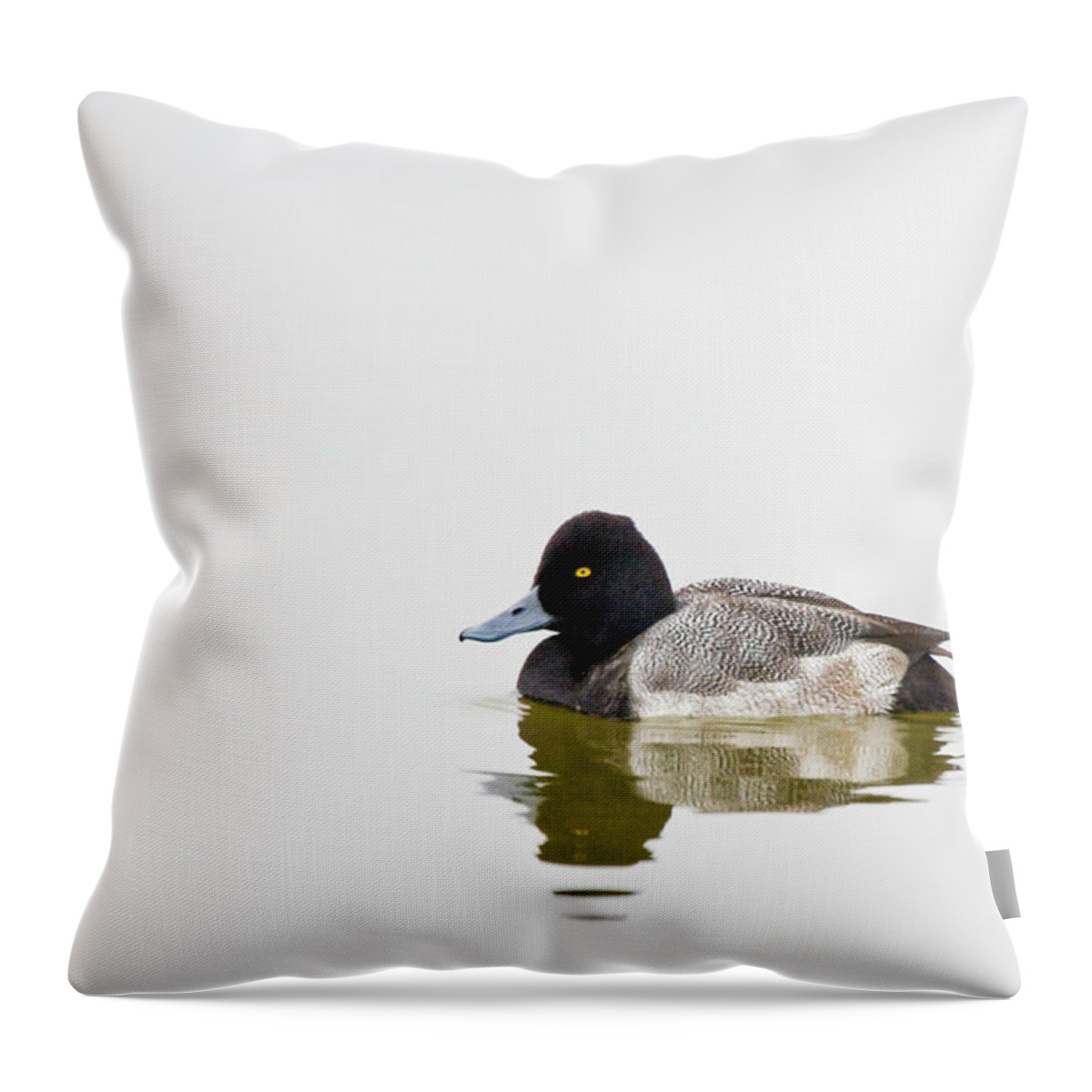 Greater Scaup Throw Pillow featuring the photograph Greater Scaup Duck on Lake Mattmuskeet by Bob Decker