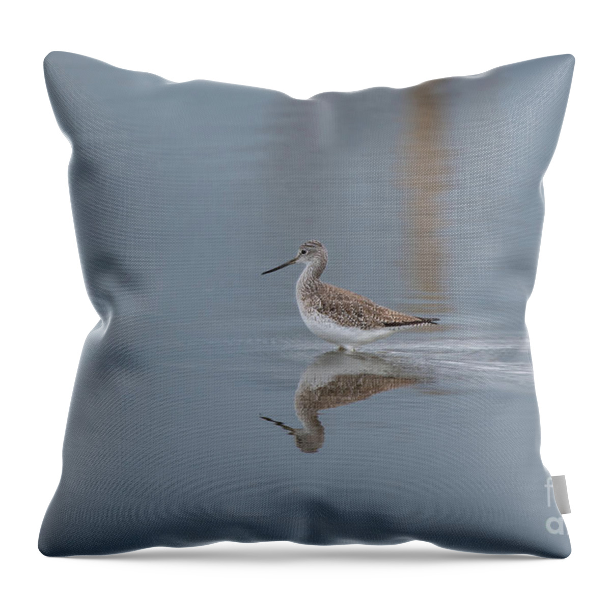 Greater Yellowlegs Throw Pillow featuring the photograph Greater Yellowlegs on a Gray Spring Day by Nancy Gleason