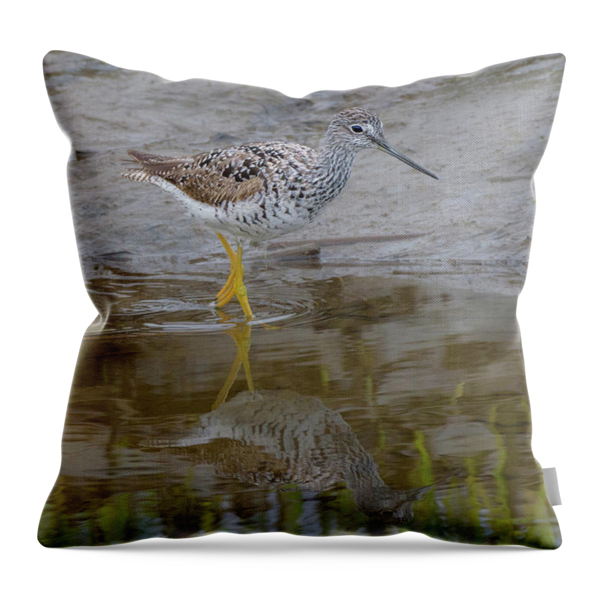 Greater Yellowlegs Throw Pillow featuring the photograph Greater Yellowlegs Wading in Skagit River Delta #1 by Nancy Gleason