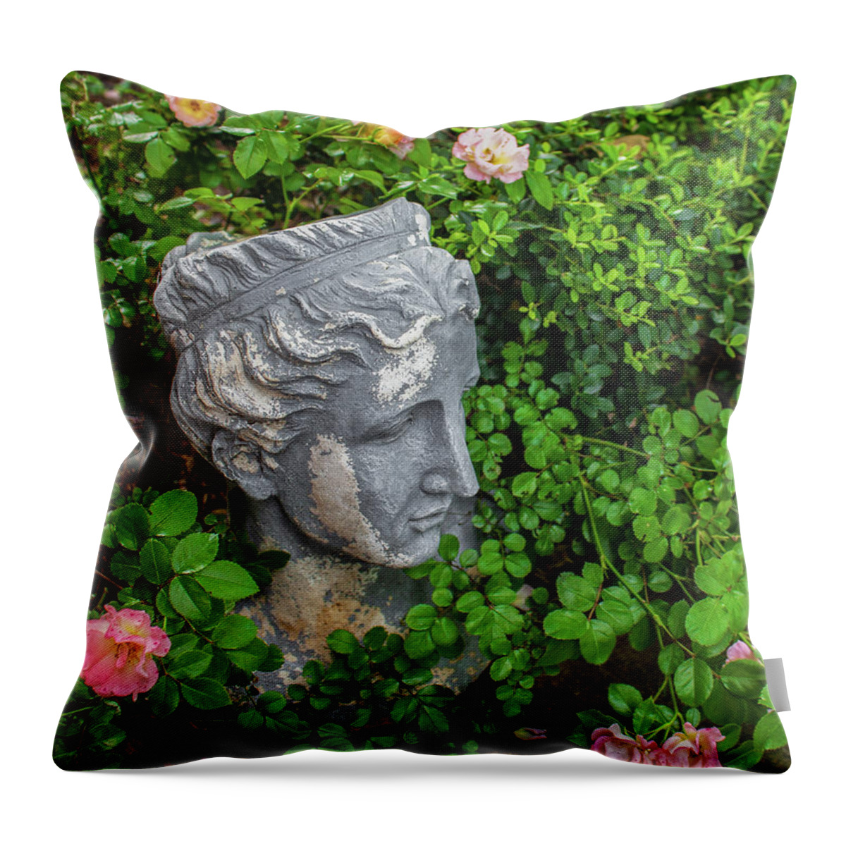 Tea Roses Throw Pillow featuring the photograph Grecian head in tea rose garden by Susan Vineyard