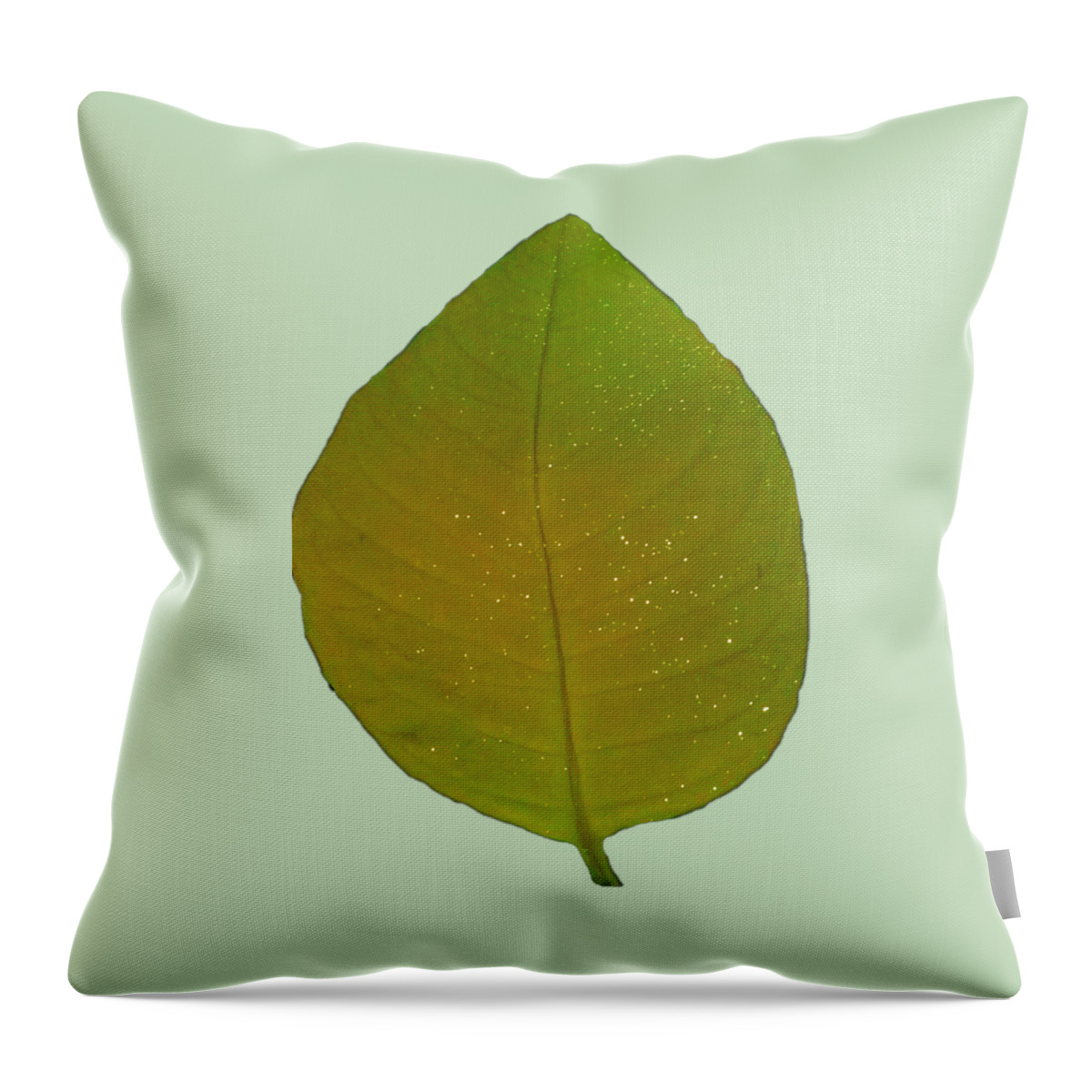 Green Throw Pillow featuring the photograph Green Autumn Leaf Wall Art Home Decor by Delynn Addams