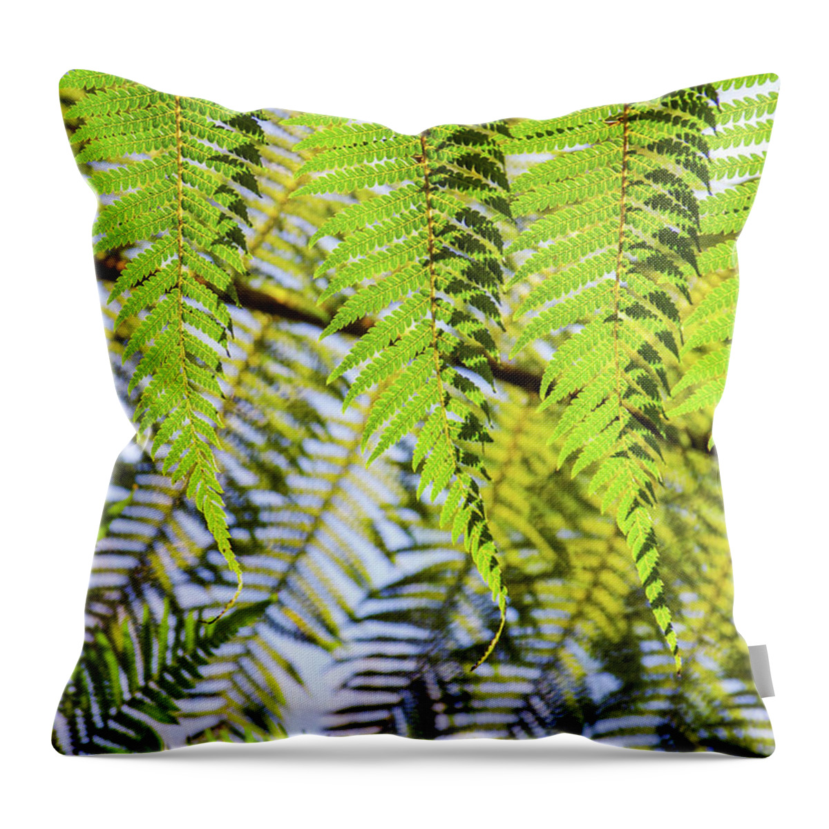 Green Plants Throw Pillow featuring the photograph Green Fern by Carlos Caetano
