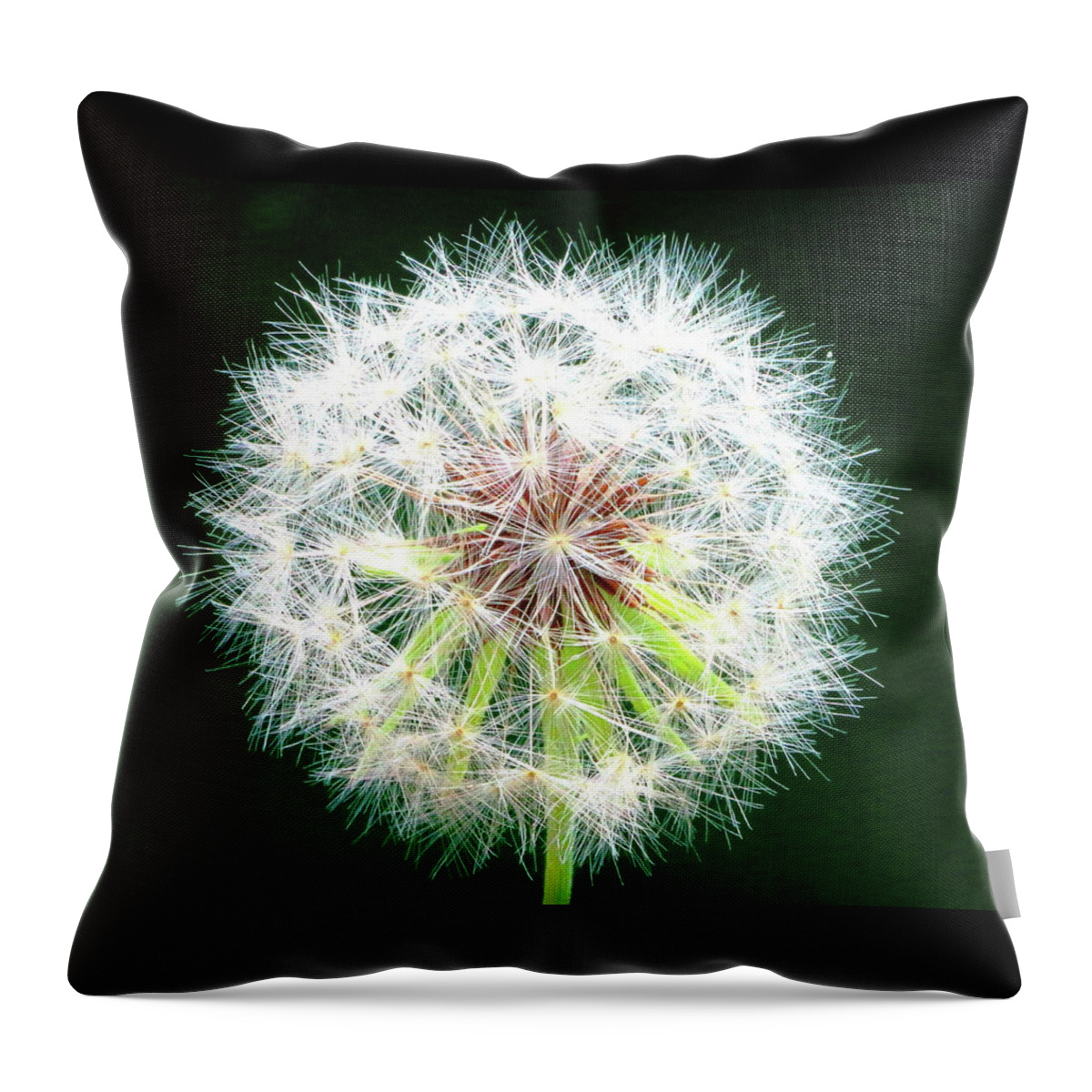 Dandelion Throw Pillow featuring the photograph Green Geometry by Larry Beat