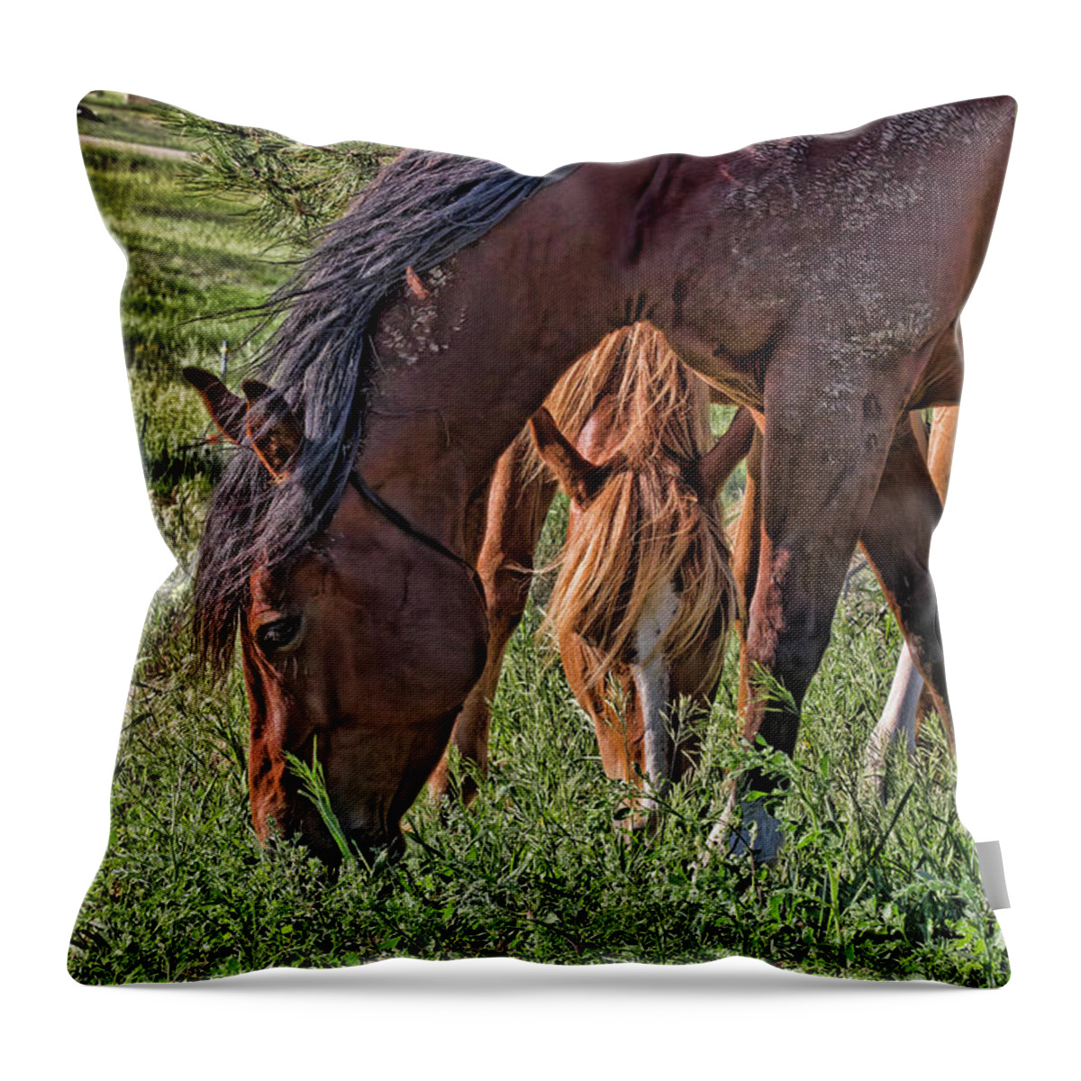 Horses Throw Pillow featuring the photograph Green Grass and Mud by Alana Thrower