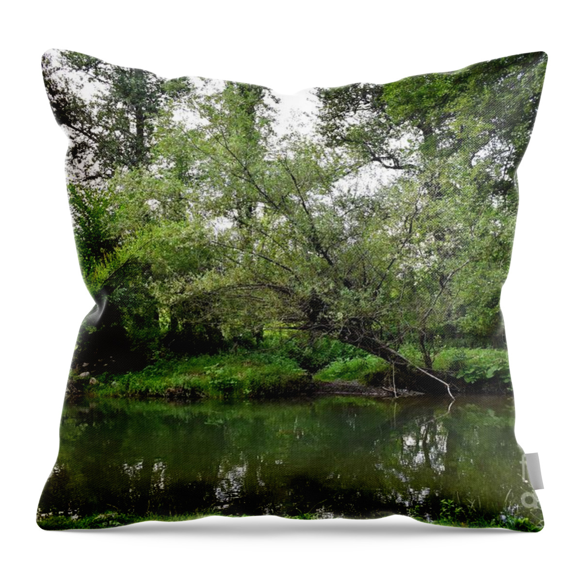 Harmony Throw Pillow featuring the photograph Green Harmony of The Lake by Leonida Arte