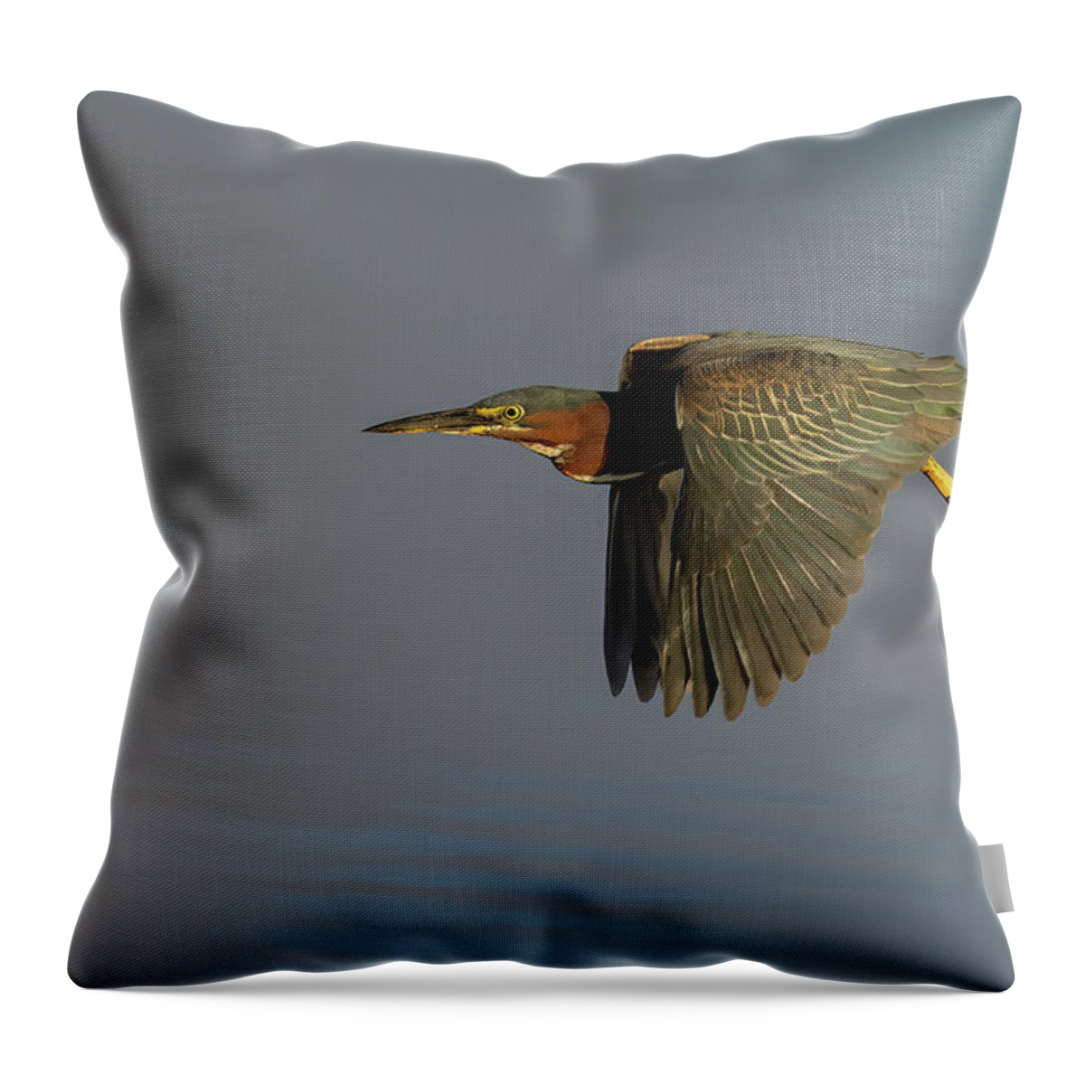 Green Heron Throw Pillow featuring the photograph Green Heron Flight by RD Allen