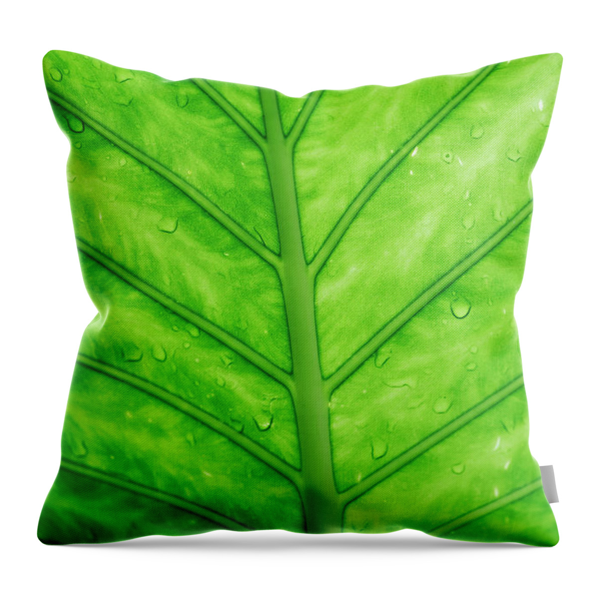 Leaf Throw Pillow featuring the photograph Green leaf with water drops. by Jelena Jovanovic