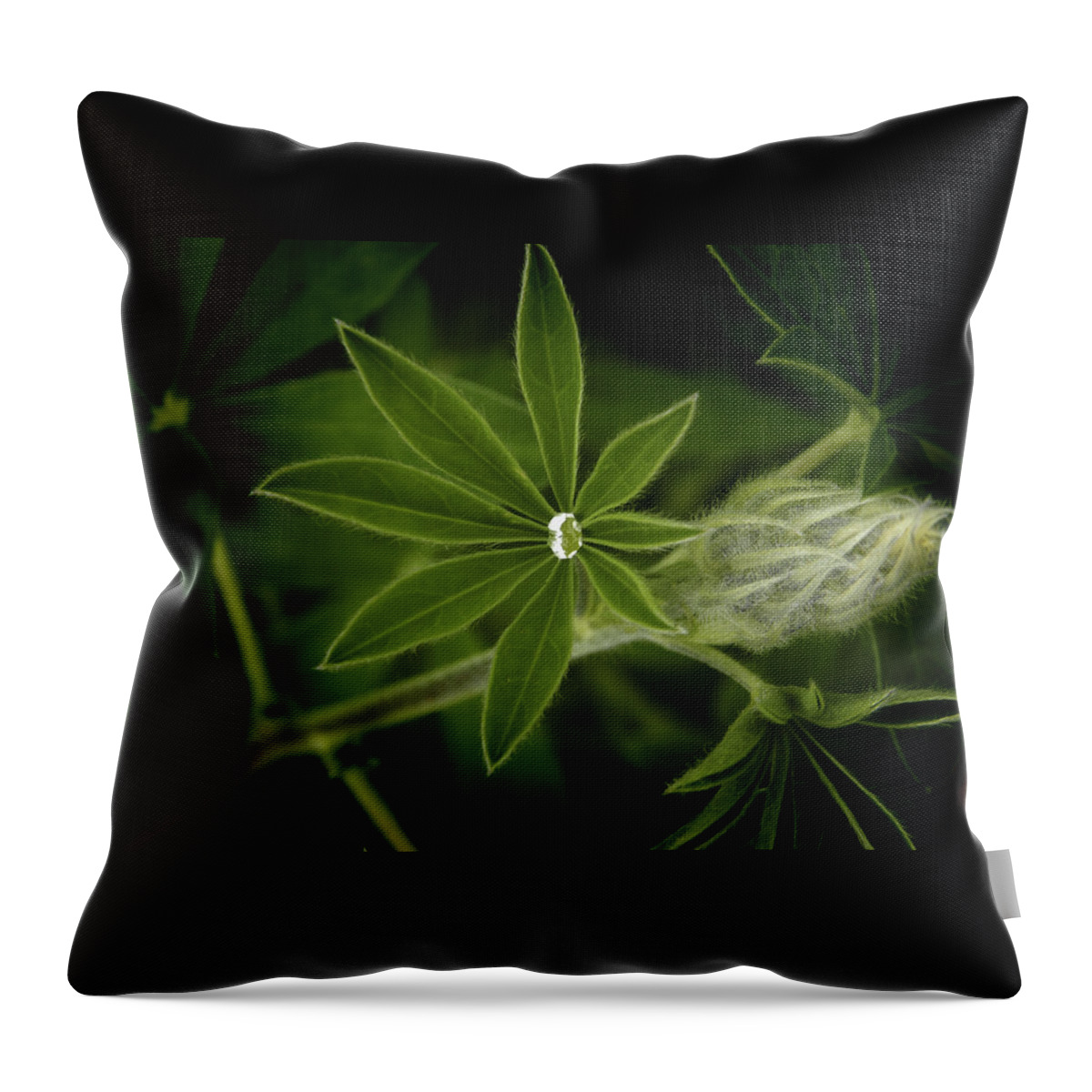 Alaska Throw Pillow featuring the photograph Green Leaves on a Dark Background by James C Richardson