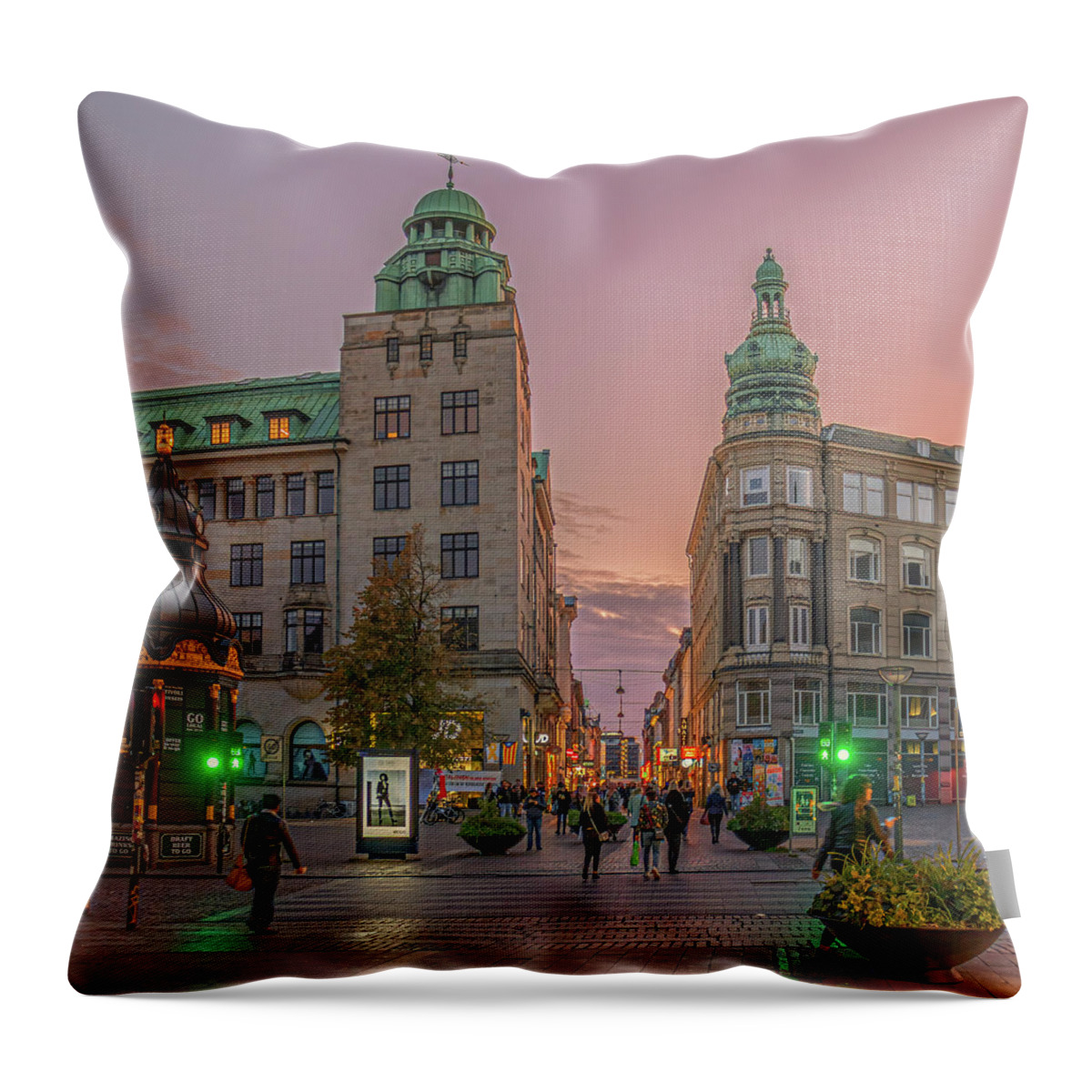 Copenhagen Throw Pillow featuring the photograph Green Light by Karen Sirnick