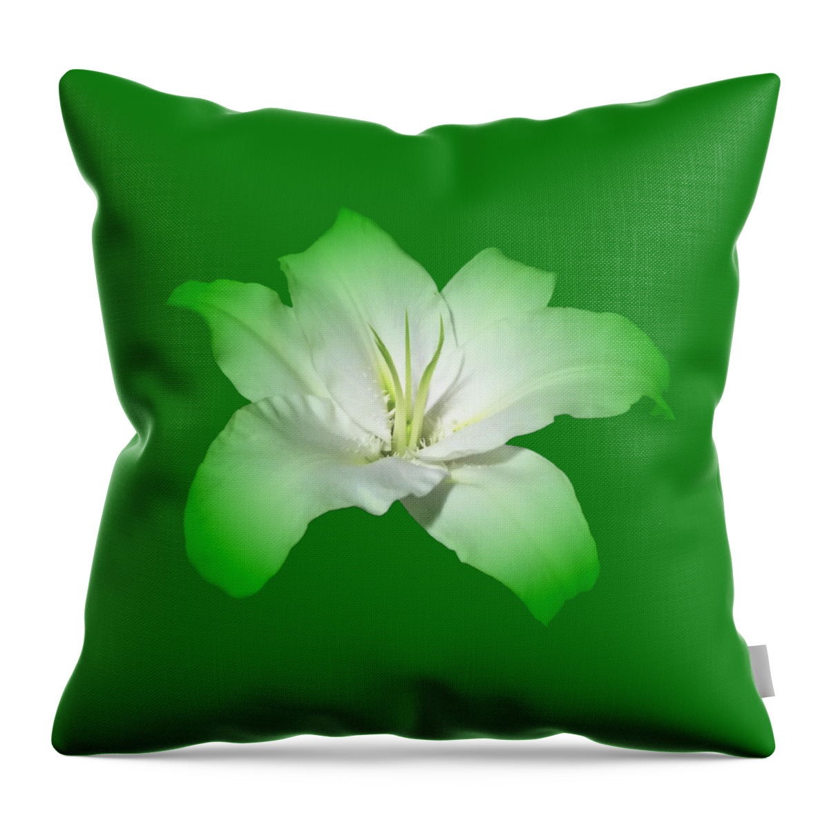 Green Throw Pillow featuring the photograph Green Lily Flower by Delynn Addams
