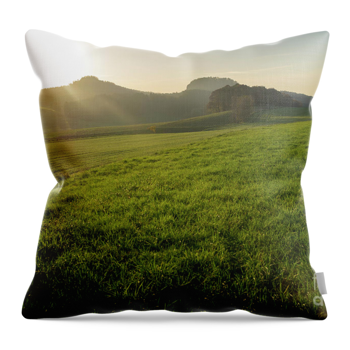 Saxon Switzerland Throw Pillow featuring the photograph Green meadow and golden light 1 by Adriana Mueller