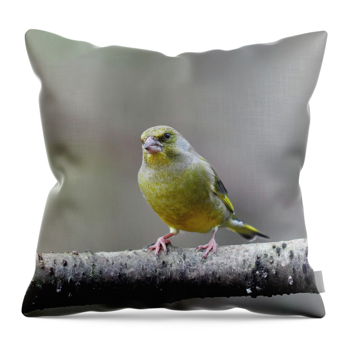 Carduelis Chloris Throw Pillow featuring the photograph Green on a gray day. European greenfinch by Jouko Lehto