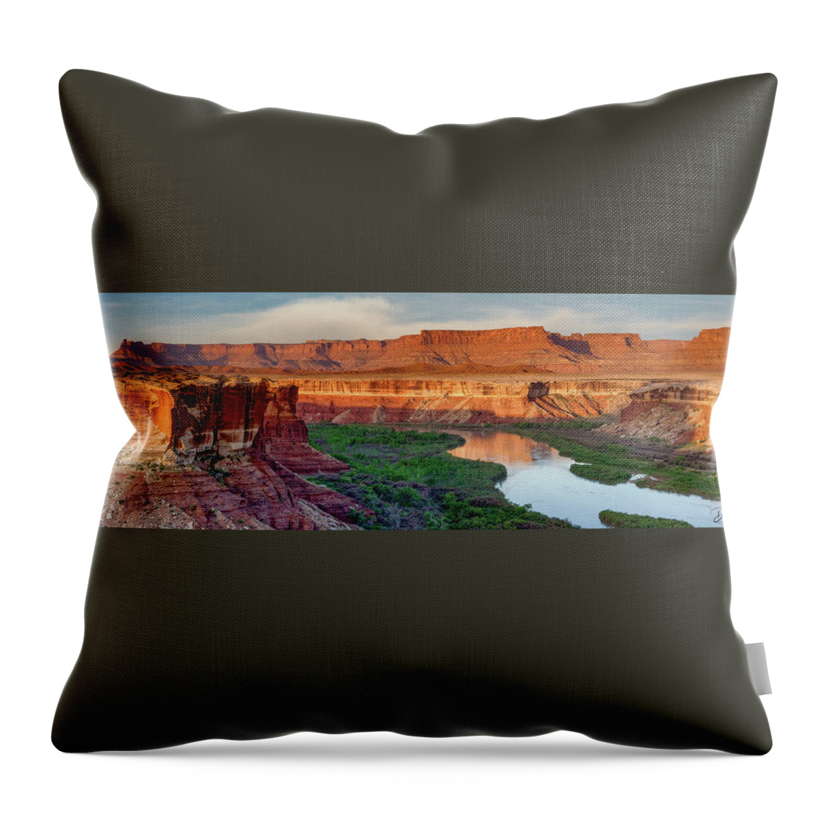 Greenriver Desert Canyonlands River Panorama Reflection Colorado Plateau Throw Pillow featuring the photograph Green River from White Rim Trail by Dan Norris