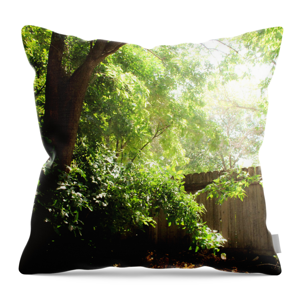 Green Throw Pillow featuring the photograph Green Sunshine Fence by W Craig Photography