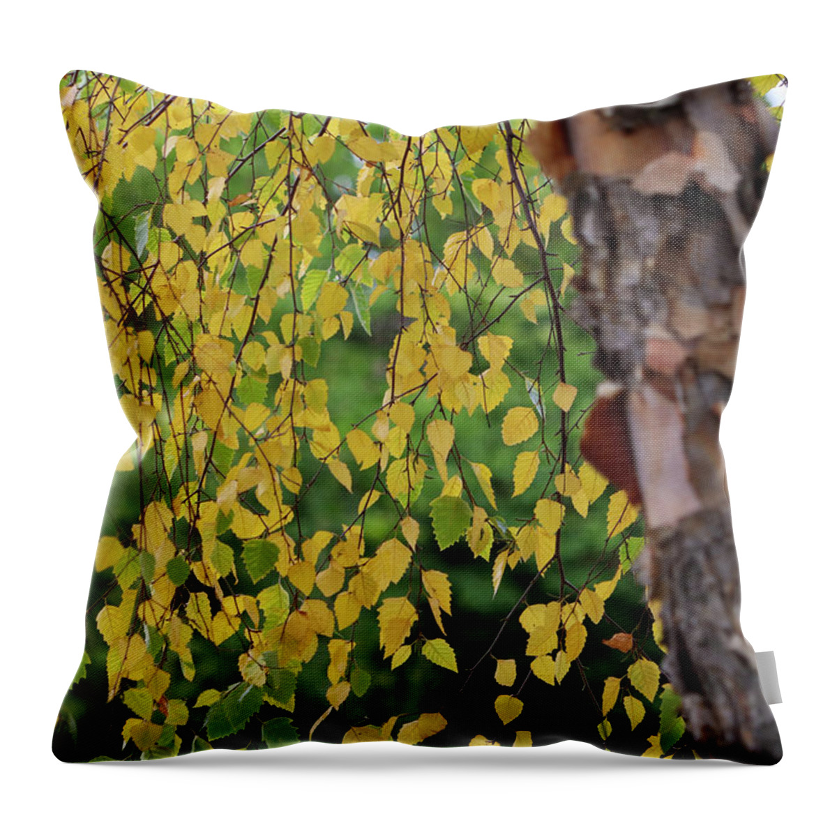 Seasons Throw Pillow featuring the photograph Green to Gold by Mary Anne Delgado