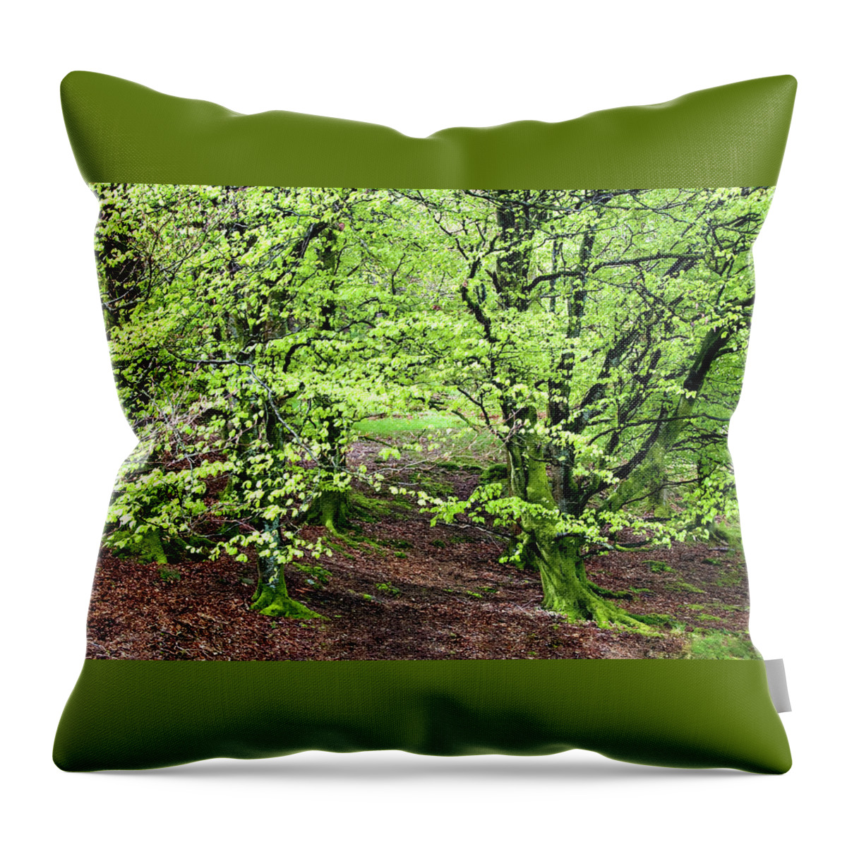 Ireland Throw Pillow featuring the photograph Green Trees of Ireland by Jill Love