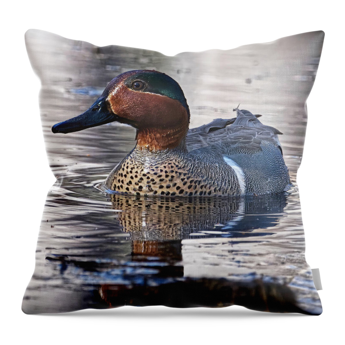 Duck Throw Pillow featuring the photograph Green-Winged Teal Drake by Flinn Hackett