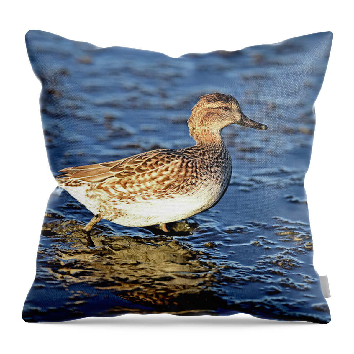 Anas Throw Pillow featuring the photograph Green-winged Teal Juvenile by Amazing Action Photo Video