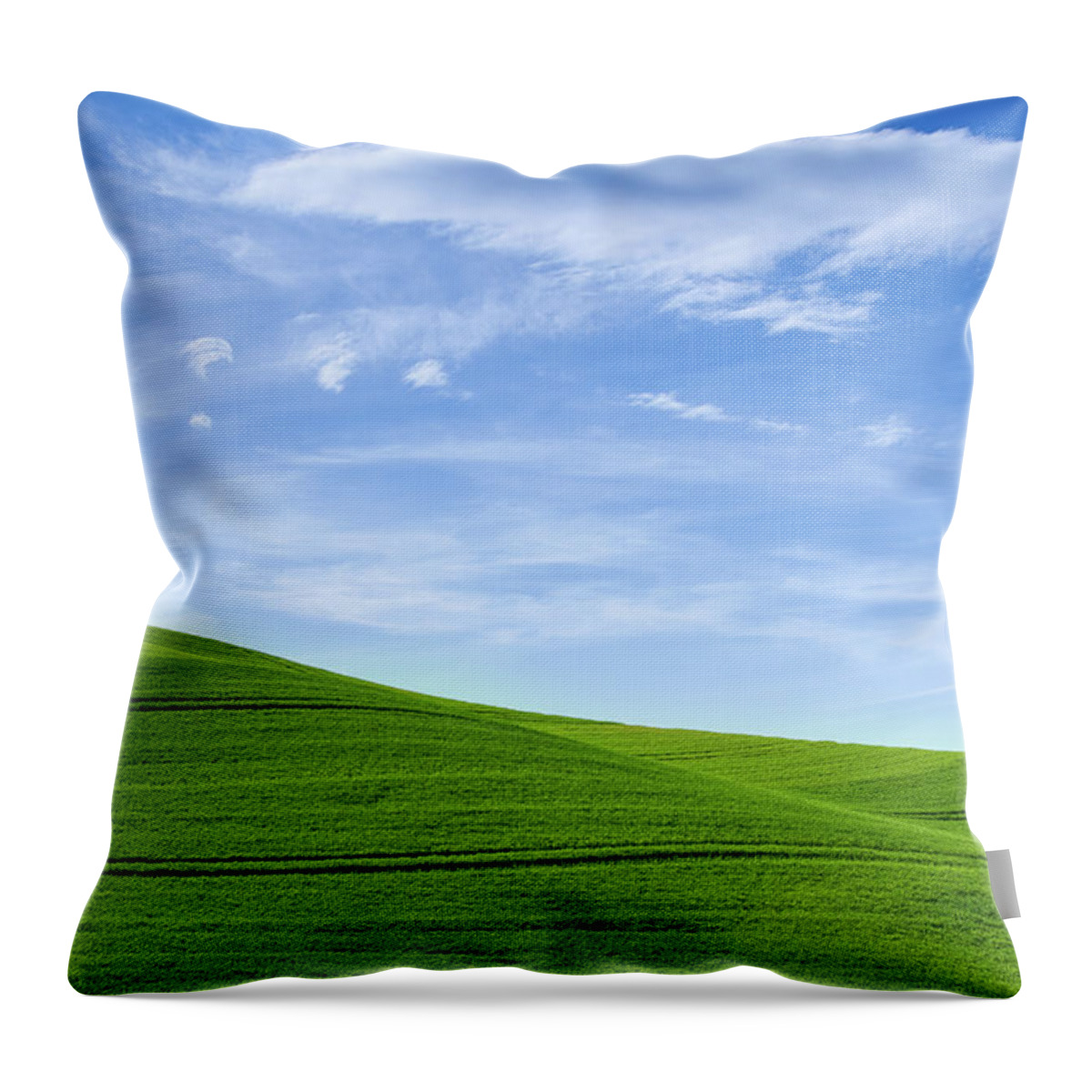 Palouse Throw Pillow featuring the photograph Greens and blues by Kunal Mehra
