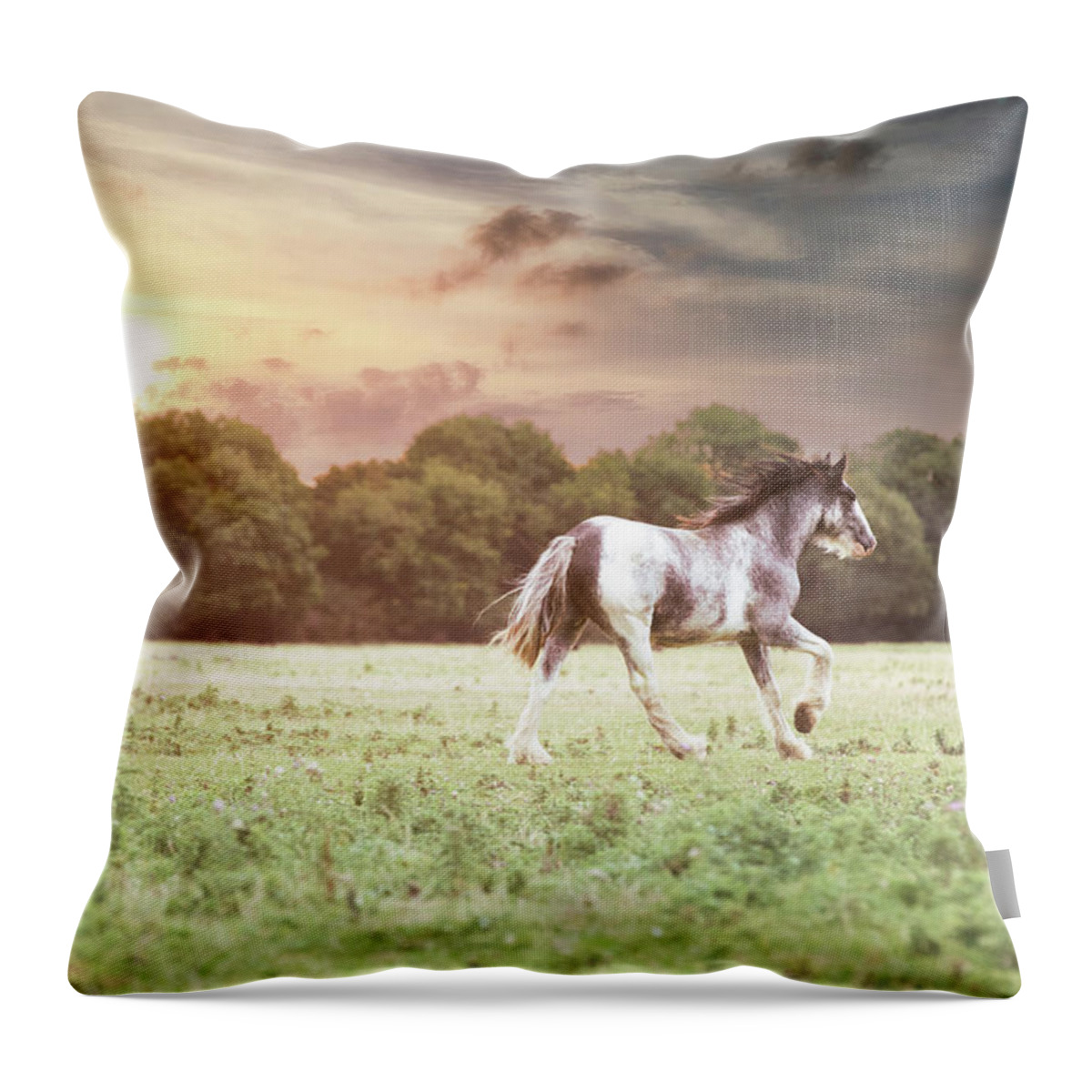 Horse Throw Pillow featuring the photograph Greet the day - Horse Art by Lisa Saint