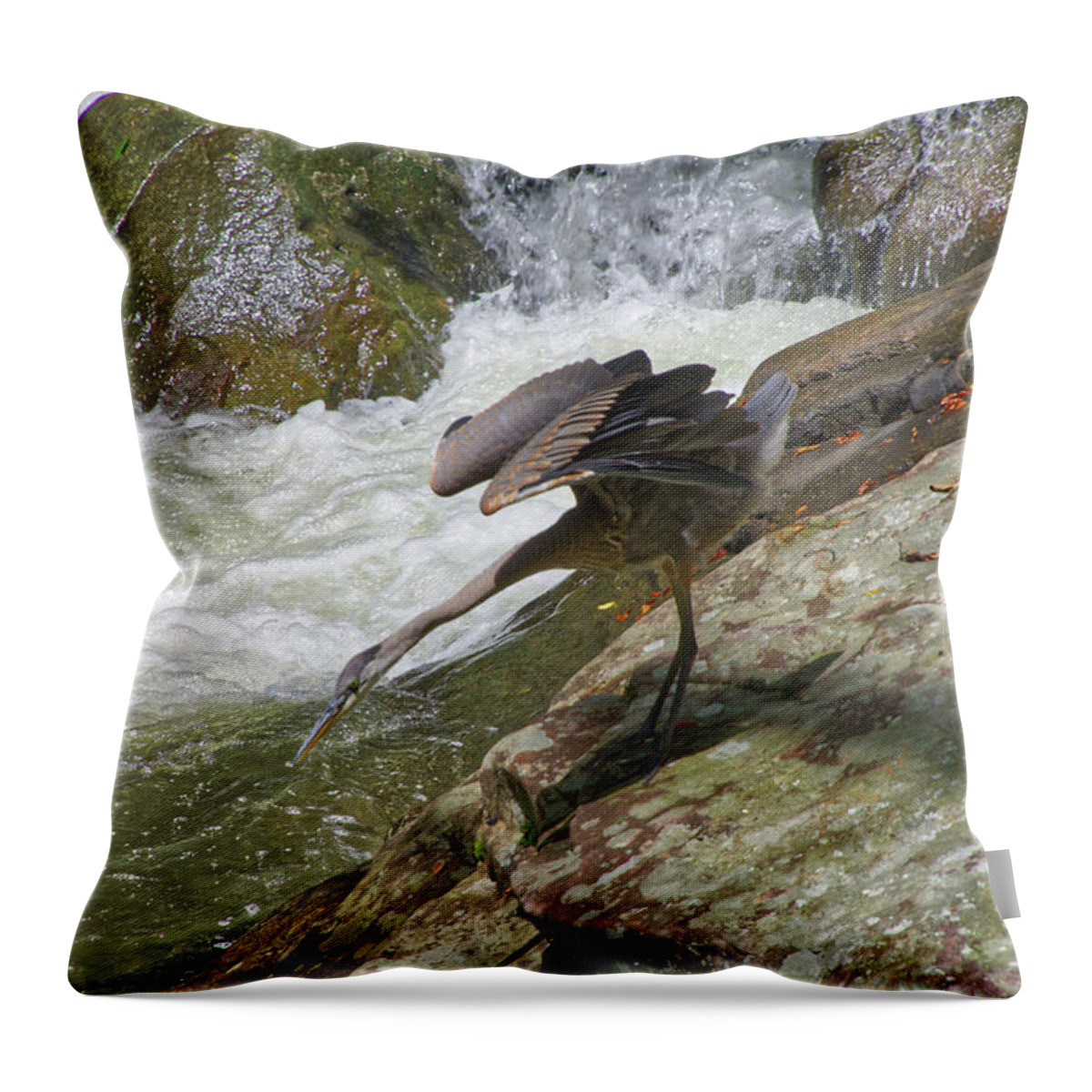 Grey Heron Throw Pillow featuring the photograph Grey Heron Hunting by Phil Perkins