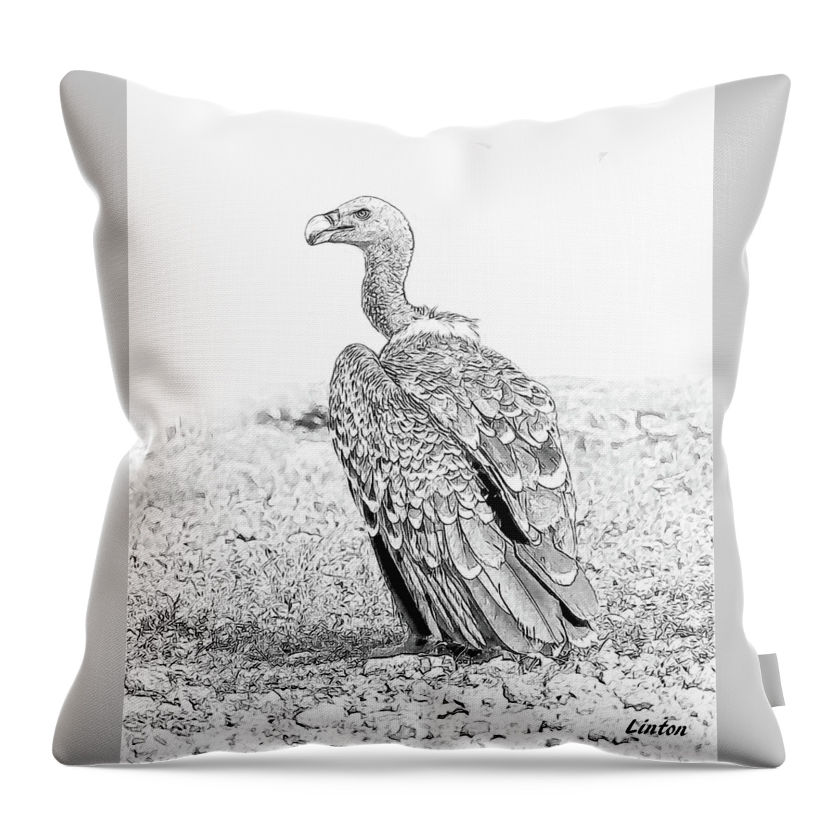 African Wildlife Sketch Throw Pillow featuring the digital art Griffon Vulture by Larry Linton