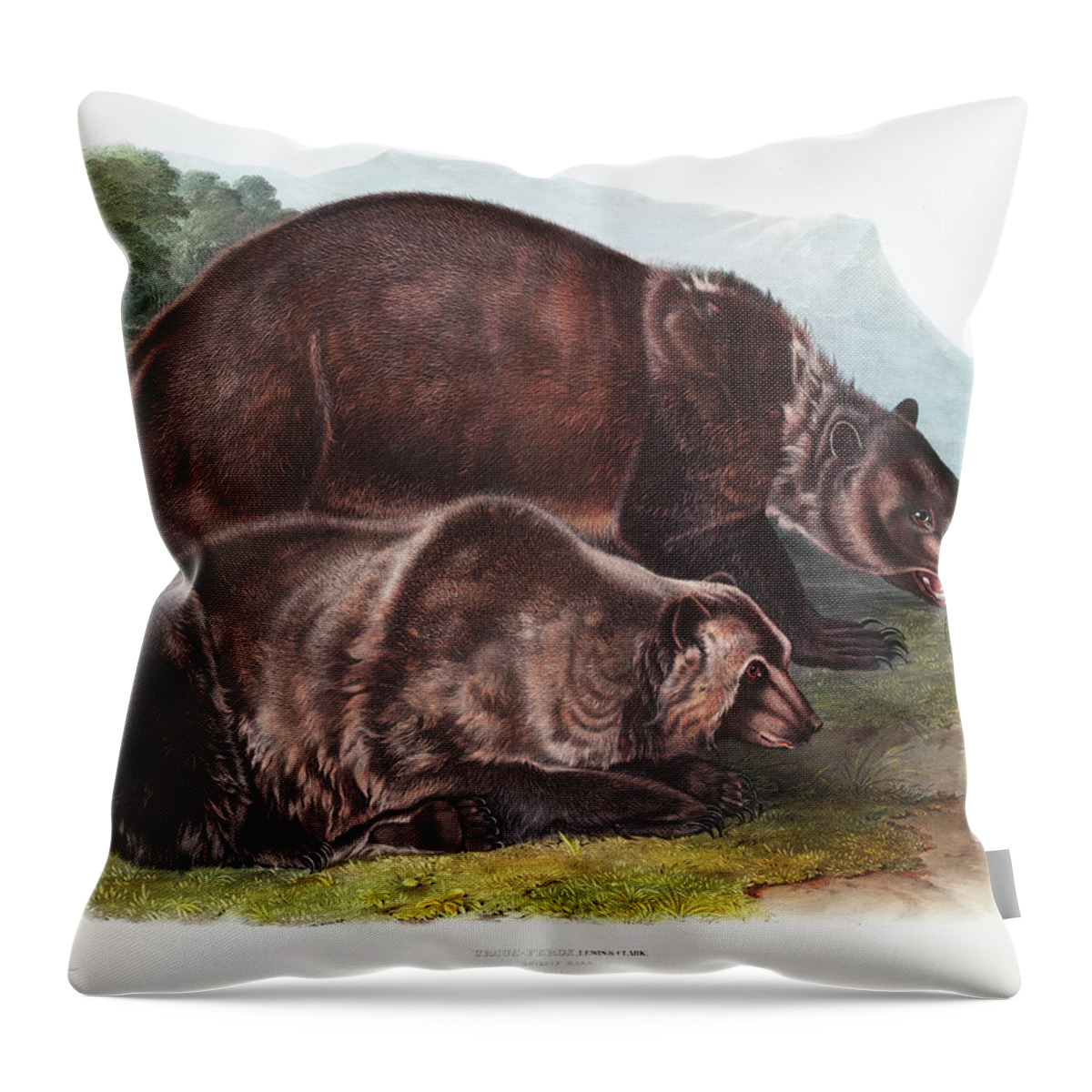 Grizzly Bear Throw Pillow featuring the mixed media Grizzly Bear. John Woodhouse Audubon by World Art Collective